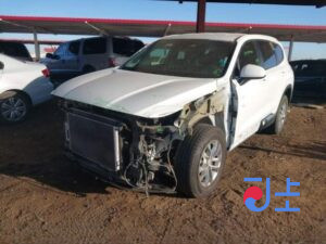 2019 Hyundai SantaFe White - KMHS581CBLU220748