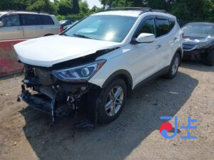 2018 Hyundai SantaFe White - KMHS581CDKU106361