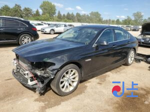 2016 BMW 5-Series 520d xDrive Black — WBA5E7103GG159480