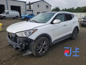 2017 Hyundai SantaFe White - KMHSW81UBJU836081
