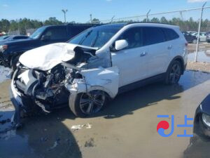 2016 Hyundai SantaFe White - KMHSW81UBGU685433