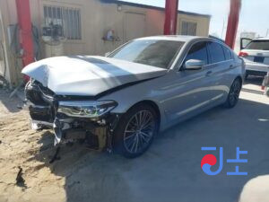 2019 BMW 5-Series 520d xDrive Silver — WBAJF5105KWW52012