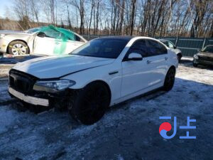 2015 BMW 5-Series 520d White — WBA5E5108GG069522