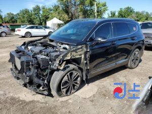 2018 Hyundai Santa Fe Black - KMHS581CDKU068061