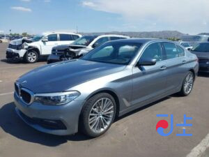 2017 BMW 5-Series 520d xDrive Gray — WBAJC5105HG858376