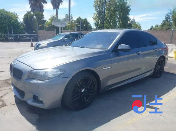 2016 BMW 5-Series 520d Gray — WBA5E5100GG201754