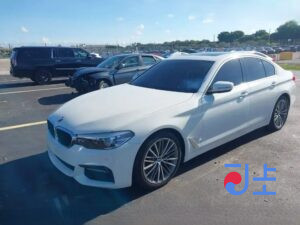 2017 BMW 5-Series 520d White — WBAJC310XHG922903