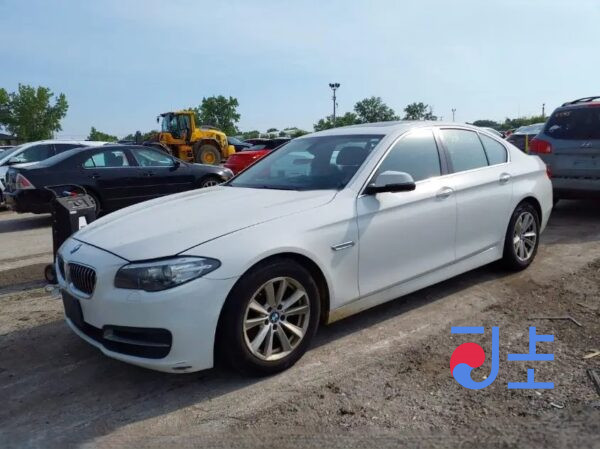2016 BMW 5-Series 520d White — WBA5E5104GG200140