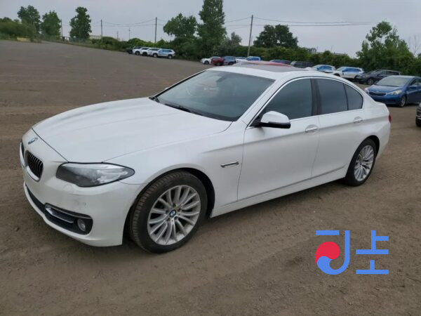 2014 BMW 5-Series 520d xDrive White — WBA5E710XFGK08365