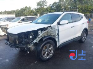 2016 Hyundai SantaFe White - KMHSW81UDGU697901