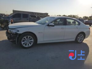 2015 BMW 5-Series 520d White — WBA5E5103GG071324