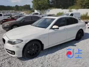 2015 BMW 5-Series 520d White — WBA5E5100FG062076