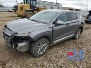 2019 Hyundai SantaFe Gray - KMHS281BBKU152152