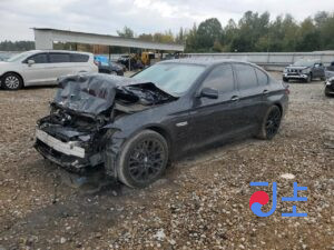 2015 BMW 5-Series 520d Black — WBA5E510XFG062750