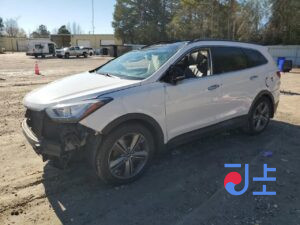 2016 Hyundai SantaFe White - KMHSW81UDGU681232