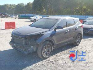 2016 Hyundai SantaFe Gray - KMHSW81XBHU707778