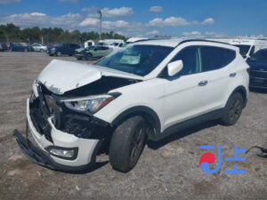 2016 Hyundai SantaFe White - KMHSW81UBHU730991