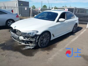 2018 BMW 5-Series 520d White — WBAJC3104J0B91119
