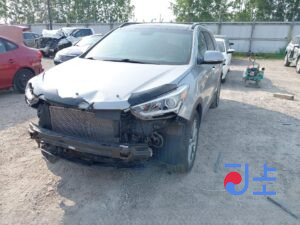 2017 Hyundai SantaFe Silver - KMHSW81UBJU827669