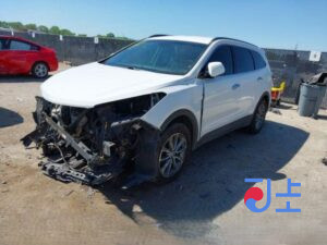 2018 Hyundai SantaFe White - KMHS281BDKU007646