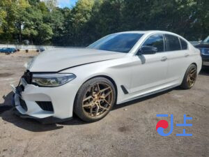 2017 BMW 5-Series 520d White — WBAJC310XJWB78864