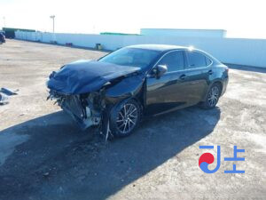 2016 Lexus ES300H Black — JTHBWIGG3G2118220