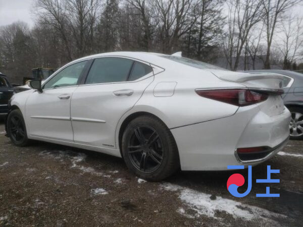 2021 Lexus ES300H White — JTHBA1C10M2004767 - Image 3