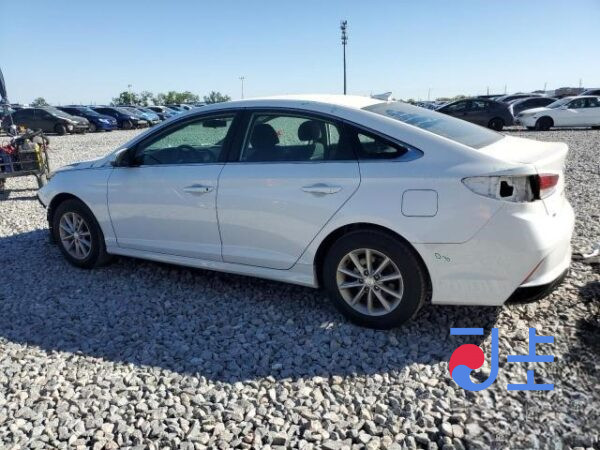 2019 Hyundai Sonata White - KMHL141EBLA011139 - Image 3