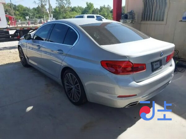 2019 BMW 5-Series 520d xDrive Silver — WBAJF5105KWW52012 - Image 3