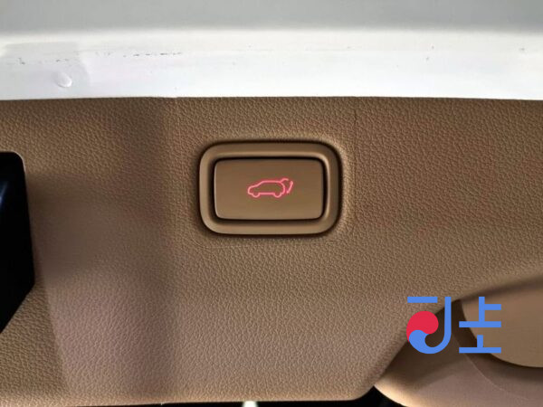 Kia Carnival white - KNAME81ABHS248658 - Image 16