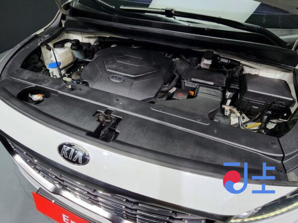 Kia Carnival white - KNAME811BKS547275 - Image 6