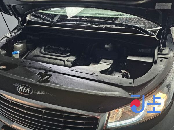 Kia Carnival black - KNANB81ABJS416407 - Image 6