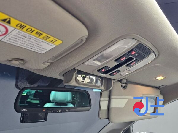 Kia Carnival black - KNAMB81ABGS107213 - Image 17
