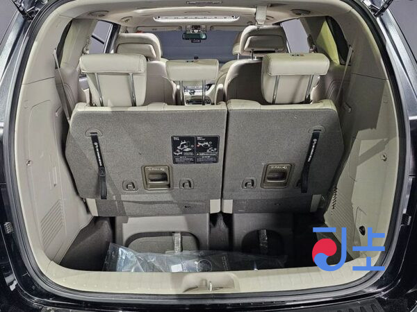 Kia Carnival black - KNAMB81ABGS107213 - Image 19