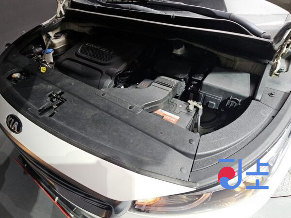 Kia Carnival white - KNHMF37A-36486732 - Image 6