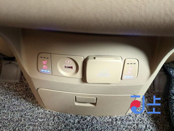 Kia Carnival black - KNAME81ABLS635581 - Image 19