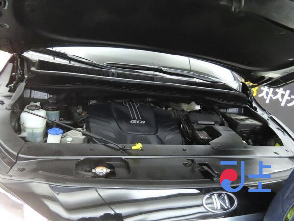 Kia Carnival black - KNAME811BJS352469 - Image 19