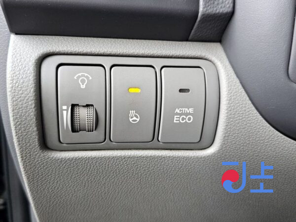 Kia Carnival black - KNHMD376BDS558491 - Image 16