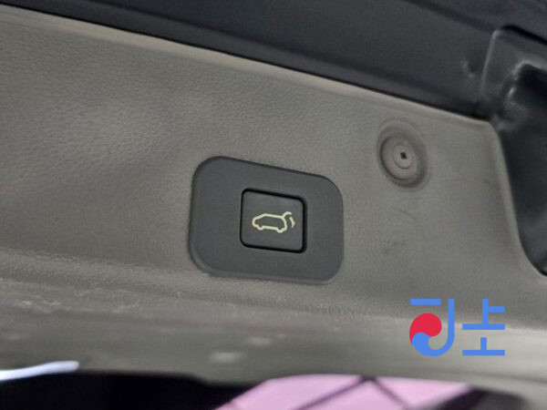 Kia Carnival black - KNHMD376BDS558491 - Image 20