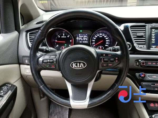 Kia Carnival grey - KNAME81ABGS195282 - Image 16
