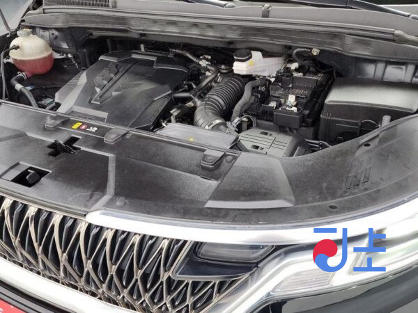 Kia Carnival black - KNANC813BMS097299 - Image 6