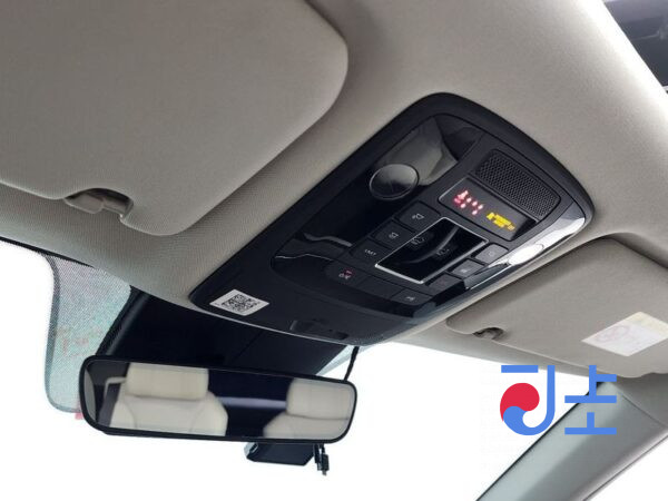 Kia Carnival black - KNANC813BMS097299 - Image 16
