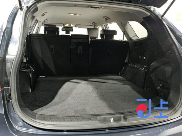 Hyundai Maxcruz blue - KMHSN81XBGU178418 - Image 20