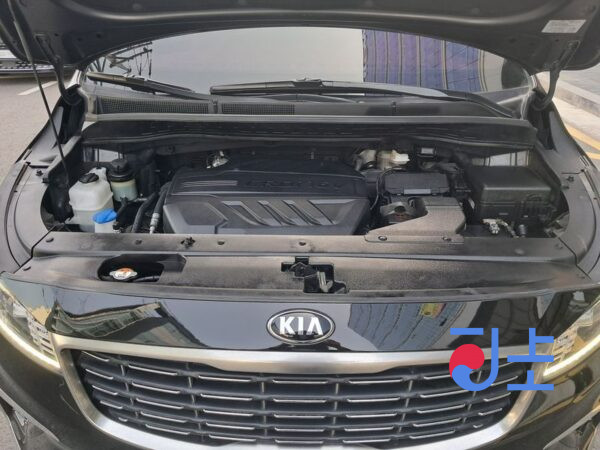 Kia Carnival black - KNAMC81ABKS465060 - Image 20