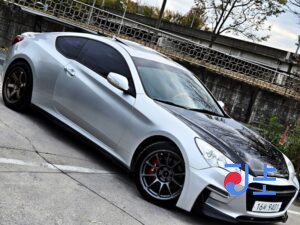 Hyundai Genesis silver - KMHHW61HP9U011998