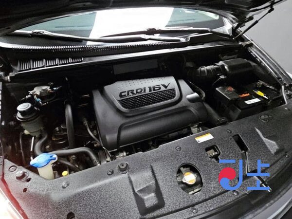 Kia Carnival black - KNHMD376BCS494686 - Image 6