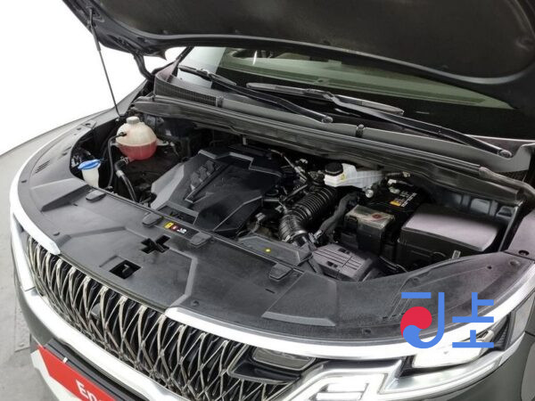 Kia Carnival black - KNANE813BMS070035 - Image 6