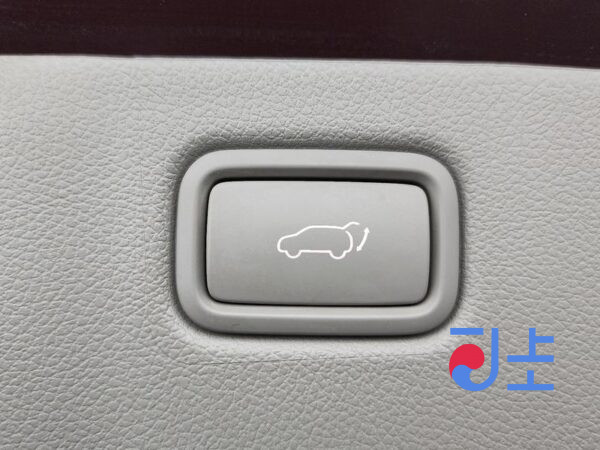 Kia Carnival red - KNAME81ABHS295307 - Image 20