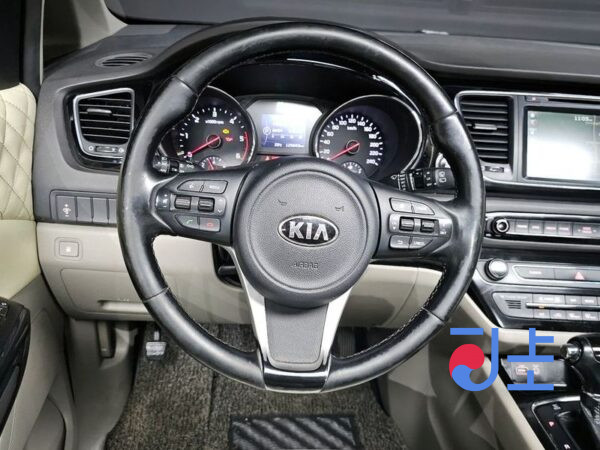 Kia Carnival white - KNAMC81ABGS199778 - Image 13