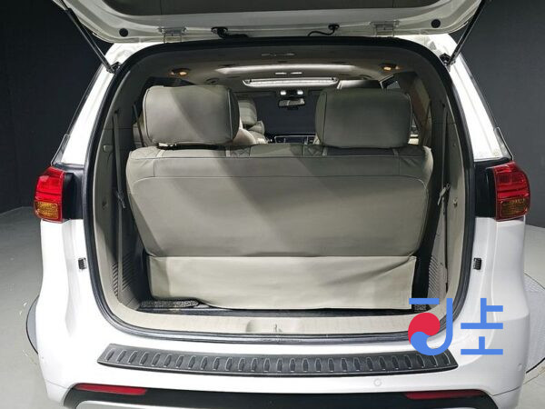 Kia Carnival white - KNAMC81ABGS199778 - Image 20